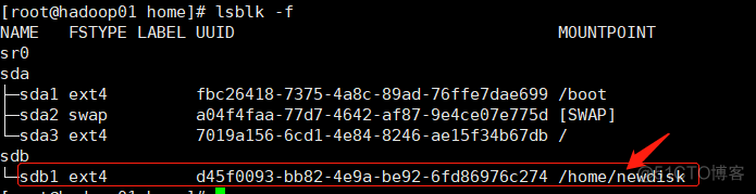 ESXI硬盘能对拷吗 esxi usb硬盘_自动挂载_10