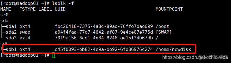 ESXI硬盘能对拷吗 esxi usb硬盘_自动挂载_15