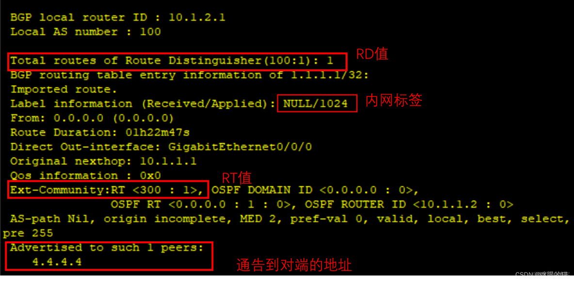 MPLS转发 mpls转发数据包的处理过程_MPLS转发_03