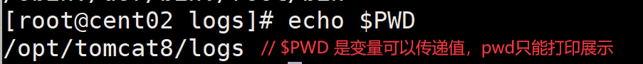 linux echo结果赋值变量 linux echo输出变量_搜索_02