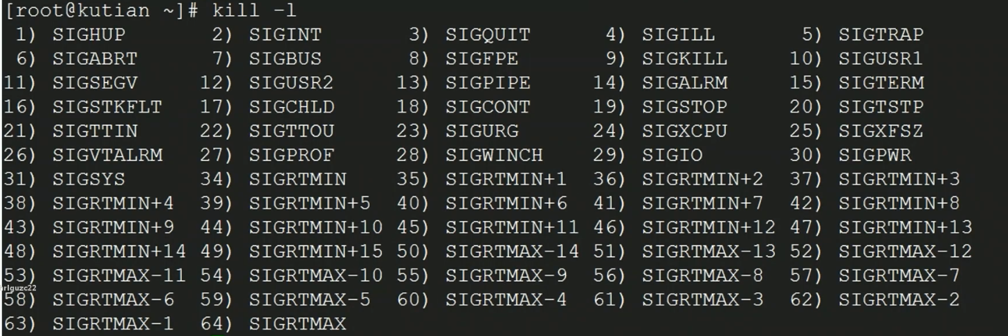 nginx子进程 nginx主进程被kill会怎么样,nginx子进程 nginx主进程被kill会怎么样_Code_02,第2张