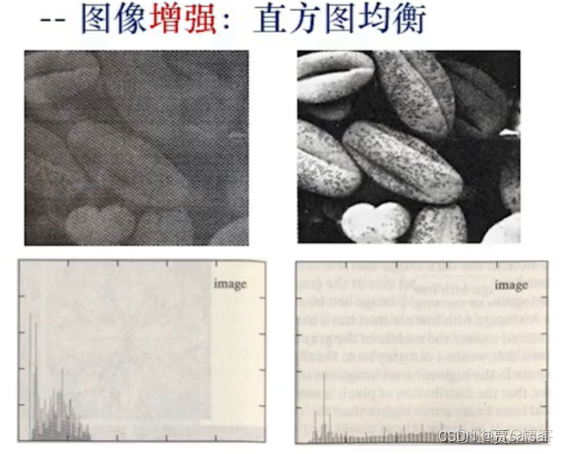 roi 图像识别 图像识别入门_计算机视觉_13