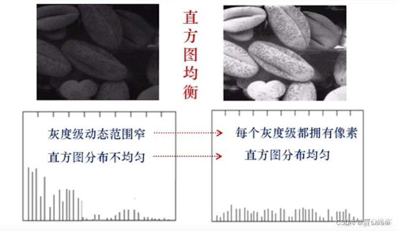 roi 图像识别 图像识别入门_学习_33