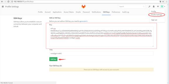 本地Host配置gitlab 搭建本地gitlab_git