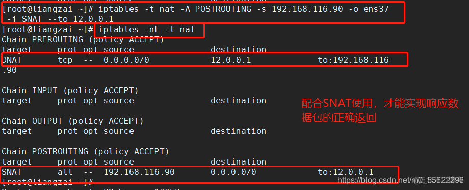 iptables设置nat的条件 iptables nat_网络_31