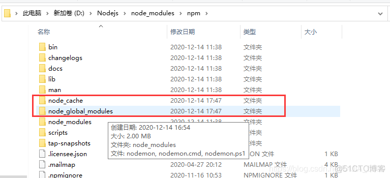 npm安装包指定仓库 npm指定安装路径_node.js_04