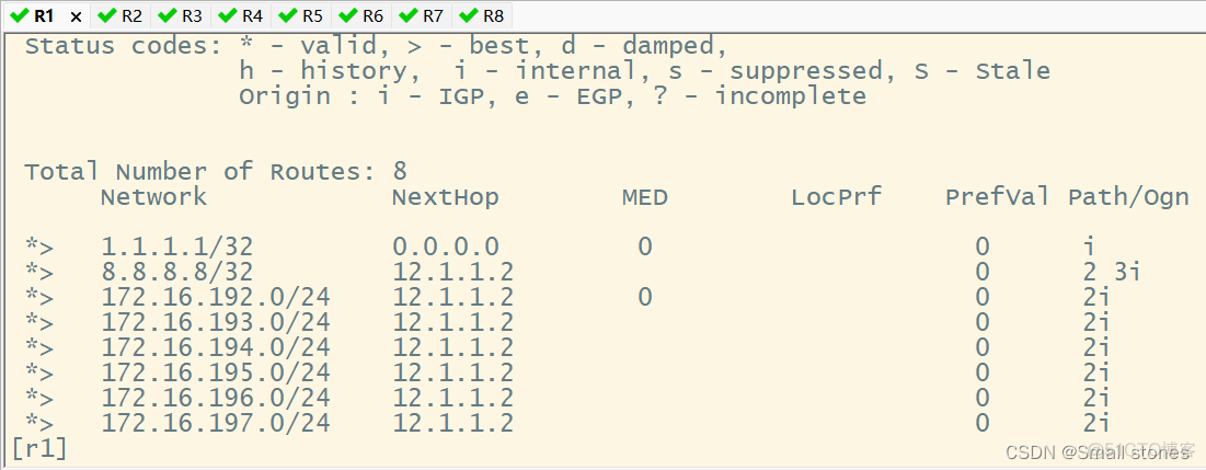 ensp中的bgp排错 ensp bgp实验_客户端_04