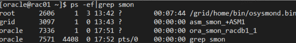 Oracle RAC One Node，双胞胎变独生子？_数据库_05