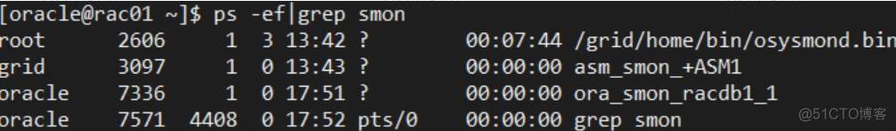 Oracle RAC One Node，双胞胎变独生子？_Database_05