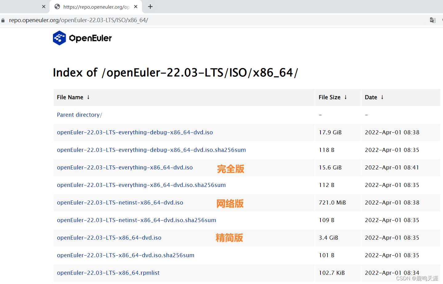 OpenEuler华为欧拉系统安装教程及联网配置_IP_02