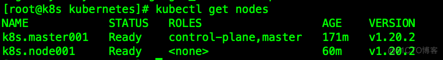 Kubenetes版本怎么查 kubernetes1.20_linux_16