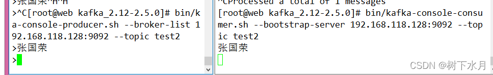 kafka server 端搭建 kafka搭建使用_kafka_08