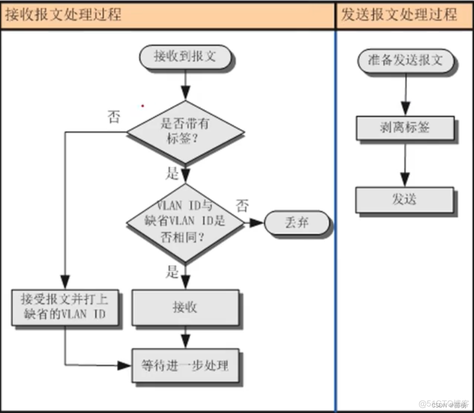 多vlan出口 vlan加入多个端口_网络协议_03