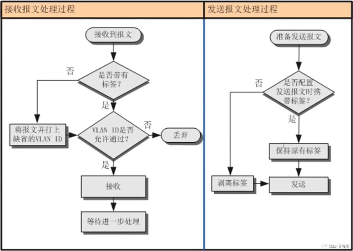 多vlan出口 vlan加入多个端口_华为_05