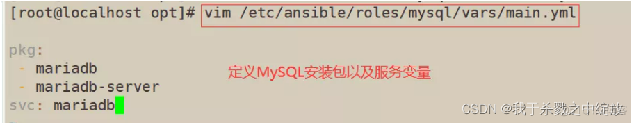 ansible模块手册 ansible playbook模块_ansible模块手册_23