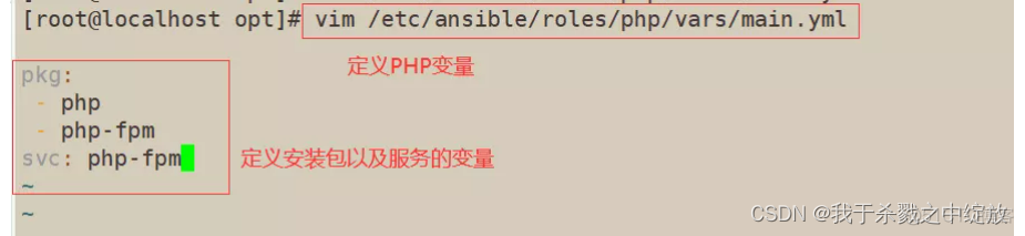 ansible模块手册 ansible playbook模块_ansible模块手册_25