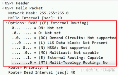 ospf如何建立邻居关系 ospf建立邻居条件_OSPF_07