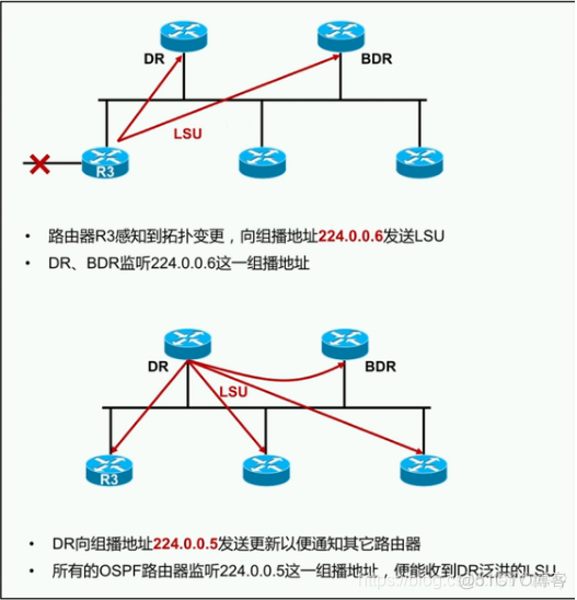 ospf如何建立邻居关系 ospf建立邻居条件_OSPF_17