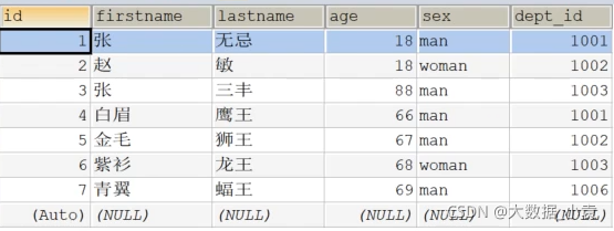 etl开发 demo etl开发用什么工具_大数据_143