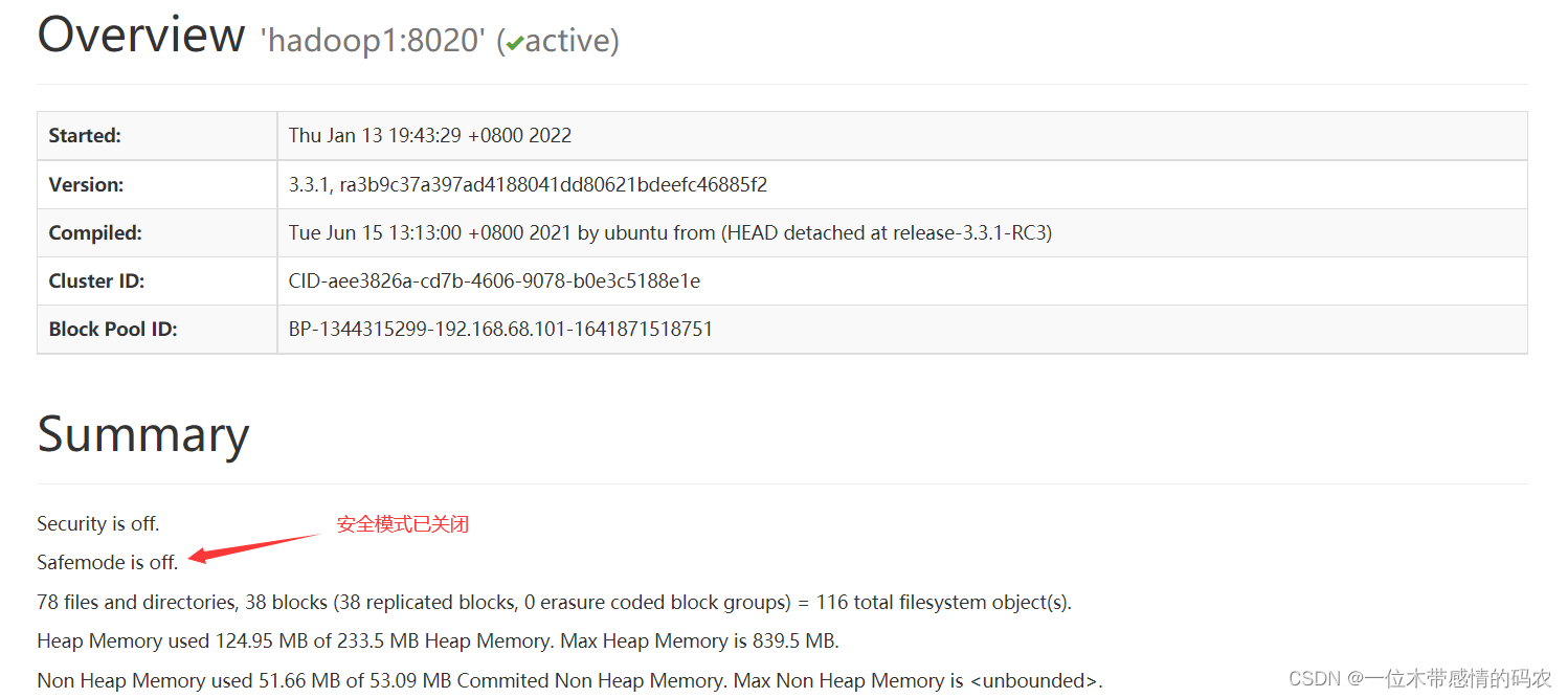 hdfs改namenode端口 hdfs namenode_安全_04