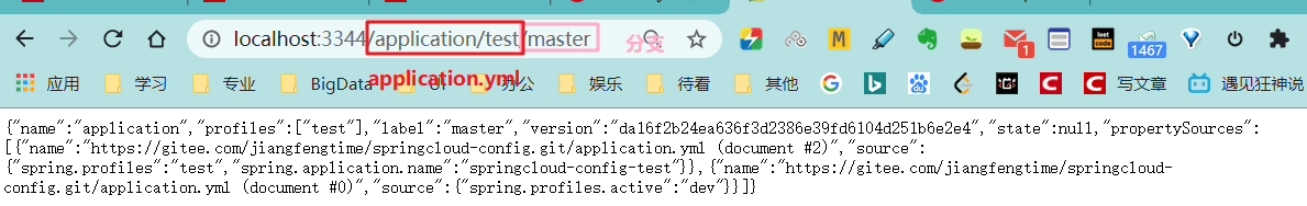 springcloud config 客户端 springcloud的config_config_03