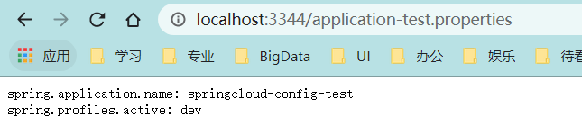 springcloud config 客户端 springcloud的config_配置文件_06