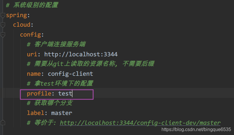 springcloud config 客户端 springcloud的config_git_10