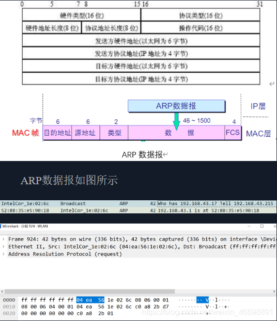 wireshark抓包分片只有第一个分片怎么办 wireshark抓包ping_wireshark_08