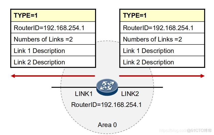 OSPF DN位检查 ospf dn置位_值类型_06