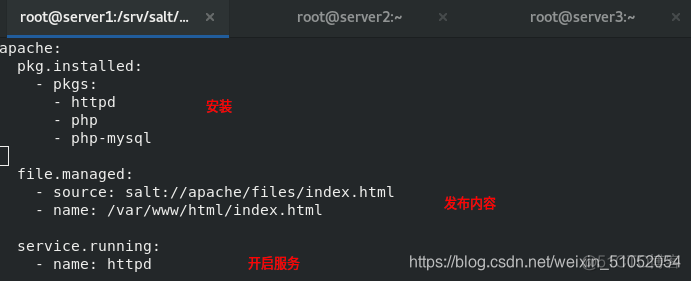 saltstack agent配置 saltstack管理windows_nginx_13