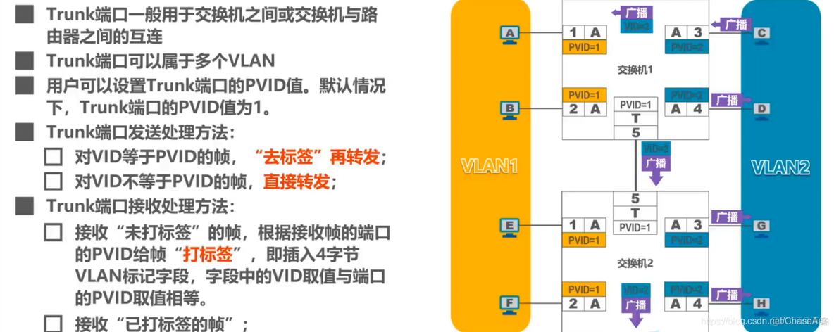 交换机 vlan 局域网 案例 vlan交换机原理_网络_05