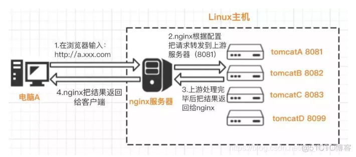 NginxProxyManage nginxproxymanager使用手册_服务器_05