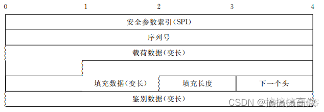 ESP隧道报文 esp报文格式_网络_03