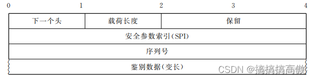 ESP隧道报文 esp报文格式_密码学_05