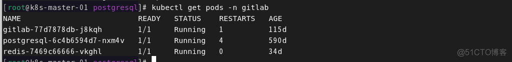 容器新部署的gitlab 报500 gitlab docker升级_gitlab_02