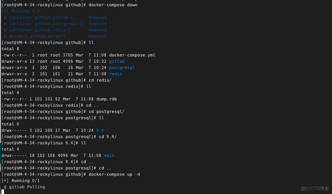 容器新部署的gitlab 报500 gitlab docker升级_gitlab_30