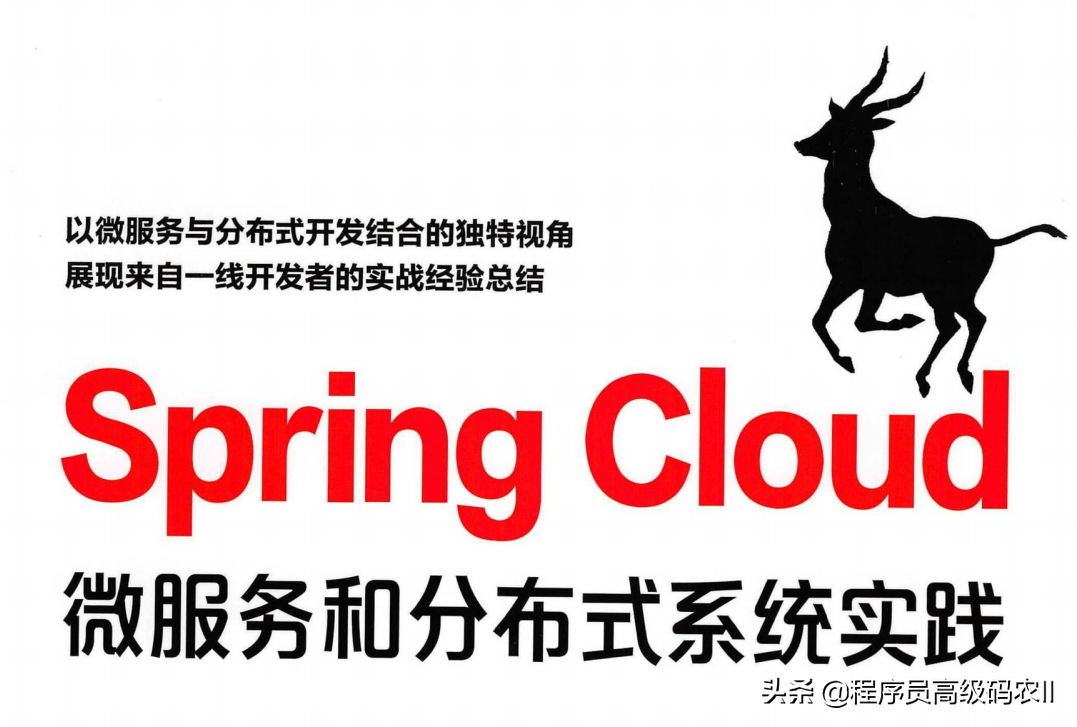 spring cloud alibaba微服务原理与实战 pdf下载 springcloud微服务架构实战派 pdf_微服务