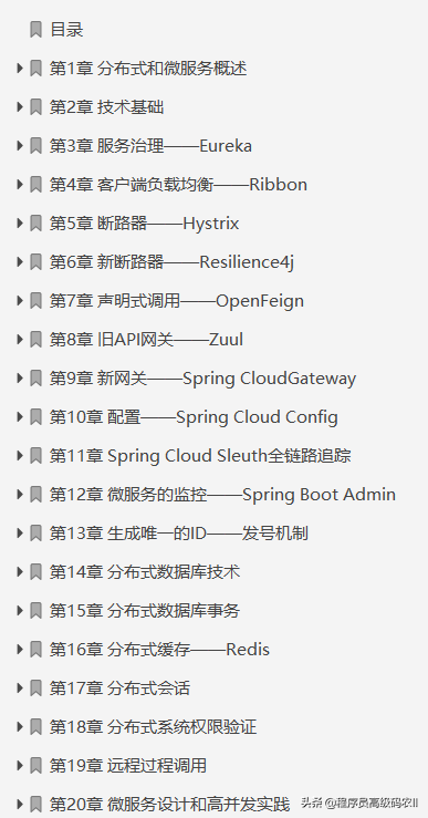 spring cloud alibaba微服务原理与实战 pdf下载 springcloud微服务架构实战派 pdf_程序员_02