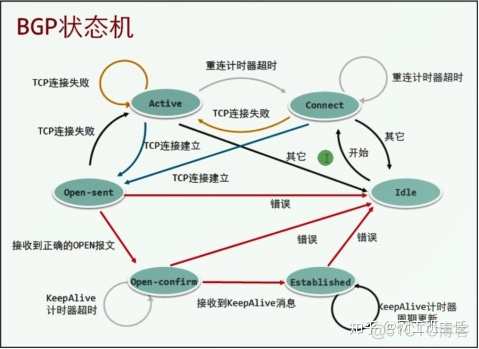 bgp五种报文类型 bgp的报文类型_可选参数_21