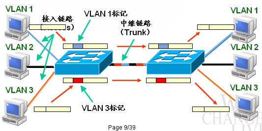 VLAN的TRUNK协议 vlan trunk的作用_算法