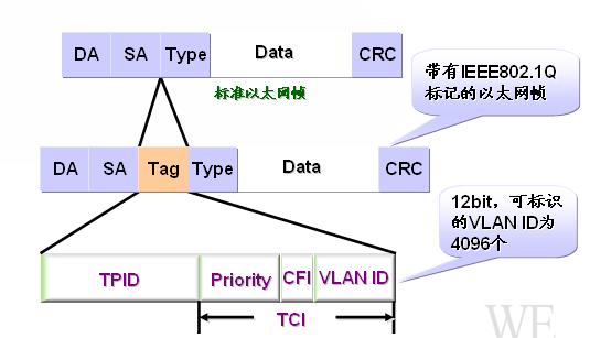 VLAN的TRUNK协议 vlan trunk的作用_VLAN的TRUNK协议_02