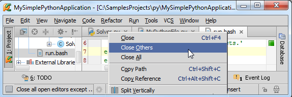 pycharm run 默认test pycharm choose start menu folder_选项卡_02