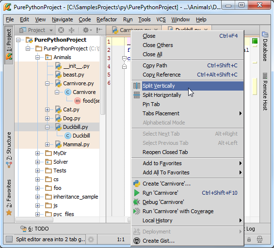 pycharm run 默认test pycharm choose start menu folder_选项卡_04