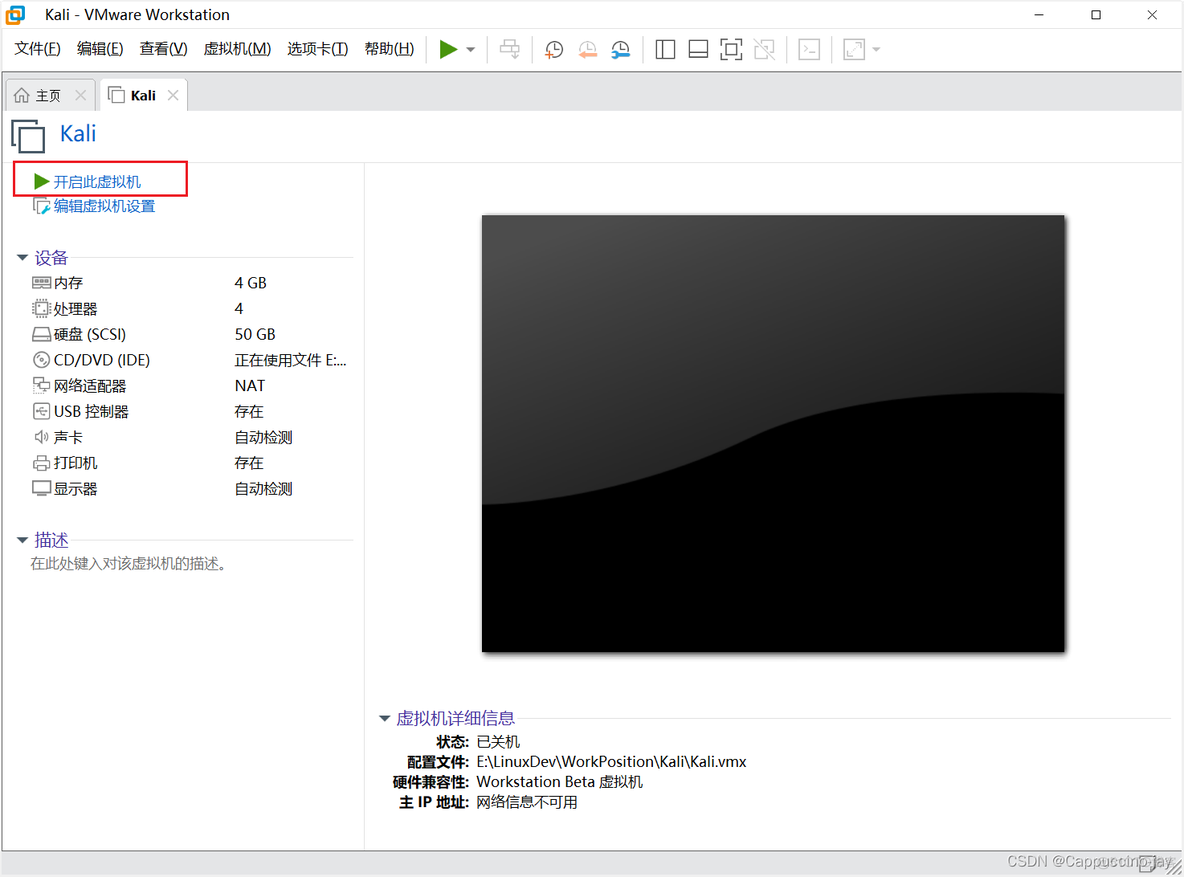 安装kali linux和Centos可以吗 安装kali linux软件选择_网络_19