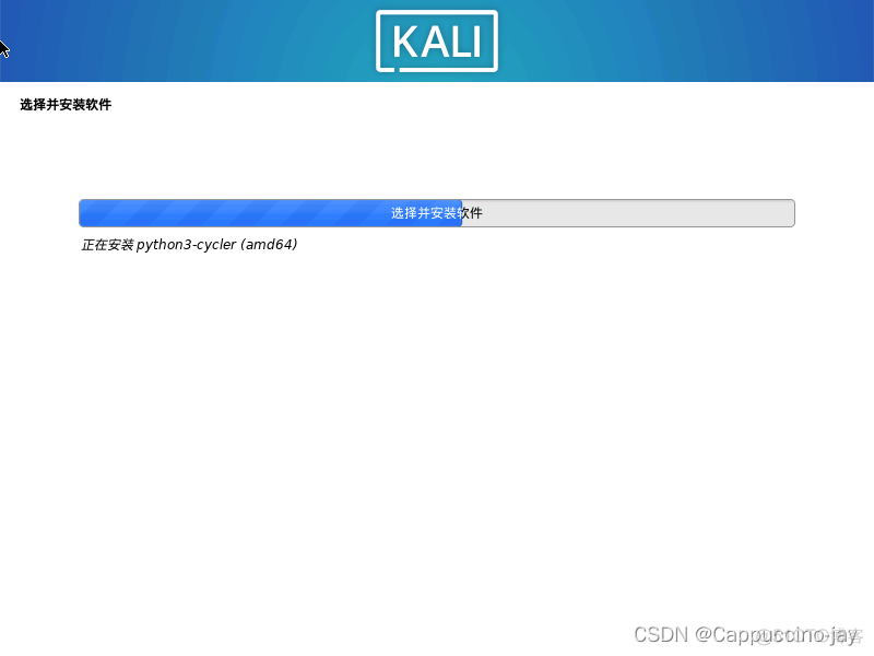 安装kali linux和Centos可以吗 安装kali linux软件选择_网络安全_36