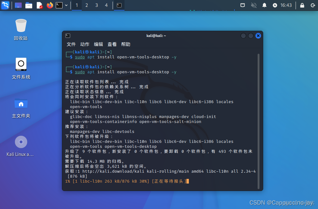 安装kali linux和Centos可以吗 安装kali linux软件选择_linux_56