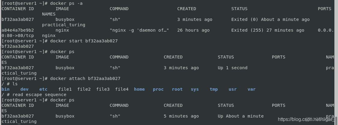 一个镜像使用了两个镜像的写的 镜像只能用一次吗_Docker_06