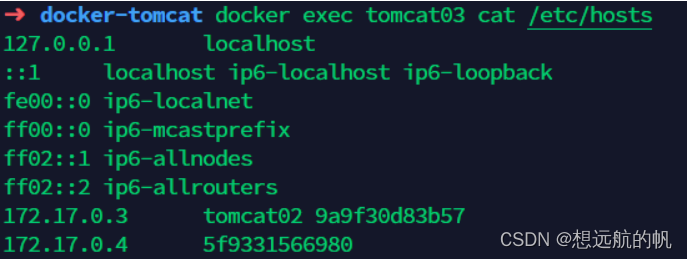 docker 部署springboot项目启动慢 docker部署springboot项目集群_docker_27