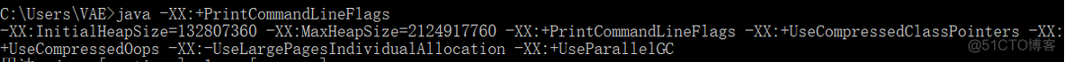 java虚拟机 运行参数获取 java虚拟机参数是什么_运维_04