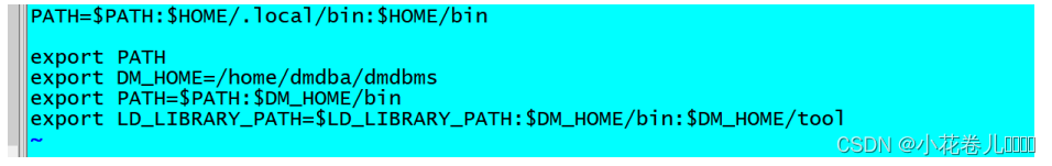 达梦 选择 scheme 达梦 mpp_服务器_05